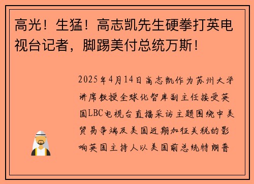 高光！生猛！高志凯先生硬拳打英电视台记者，脚踢美付总统万斯！